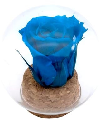Genérico Rose bleue turquoise préservée. Dôme en verre. Rose éternelle bleue. Achetez des roses bleues. Fleurs préservées. Dôme en verre. Cadeau original, anniversaire, anniversaire, décoration.