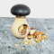 APOLLO Beech Mushroom Nutcracker, Multi-Colour, 30x4x1