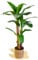 Maia Shop | Bananier Artificiel | Plante Artificielle interiur | Mesures: 180 x 90 cm | Plante Artificielle Grande | Fausse Plante | Décoration