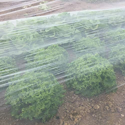 COITEK Garden Netting, Garden Netting Fine Mesh, Insect Netting for Garden Vegetables Plant Protection (2 m x 3 m)