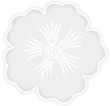 Resin Mould,Silicone Coaster Moulds for Resin,DIY Transparent Flower Frame Epoxy Resin Tray Moulds Casting Coaster Mould for Resin Jewelry Craft Decoration Home Decors