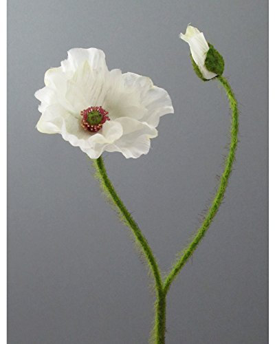 Kunstblumen MOHN mit Blüte und Knospe. Mohnblume ca 48 cm. In CREME-48