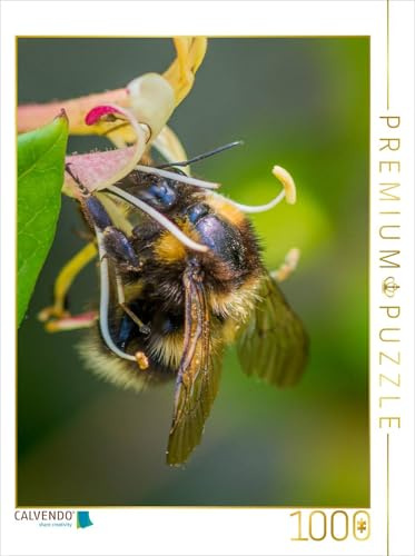 CALVENDO Puzzle Hummel auf Geißblatt | 1000 Teile Lege-Größe 48 x 64 cm Foto-Puzzle für glückliche Stunden