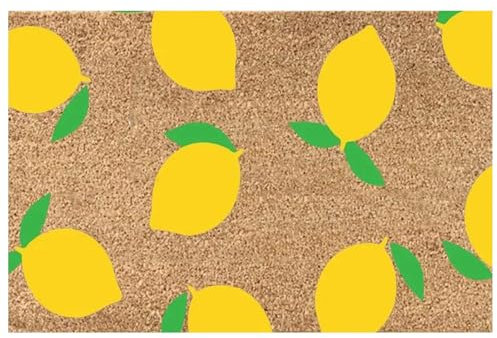 Virtcooy Summer Door Mat Outdoor - Hello Summer Doormat | 16X24 Inch Hello Summer Door Mat, Non-Slip Outdoor Rug, Welcome Mats For Front Door, Door Rug Summer
