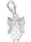 Goldene Hufeisen Charm Anhänger Eule 925 Sterling Silber Zirkonia Vogel