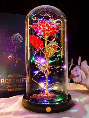 DEEMEI Eternal Rose Flowers Birthday Gifts for Women, for Mum Her, Upgraded USB Galaxy Crystal Rose in a Glass Dome LED Light-Up Presents for Anniversary Wife Grandma, Red