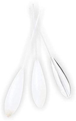 Fladen Bomb Float, Sbirolino mit Gewichten von 15g - 35g, DREI Varianten verfügbar schwimmend, langsam sinkend und sinkend (sinkend, 25g)