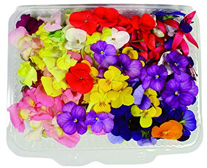 Fiori Commestibili BIOLOGICI - 120 FIORI EDULI di COLORI e VARIETÀ MISTE in vaschetta alimentare di 23 cm x 15 cm x 1,5 cm - Coltivati in Toscana dall'azienda agricola Carmazzi