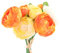yunuo Künstliche Pfingstrosen, Seide, 10 Köpfe, ein Blumenstrauß, Hochzeit, Brautstrauß, Zuhause, Party, Dekoration, Orange