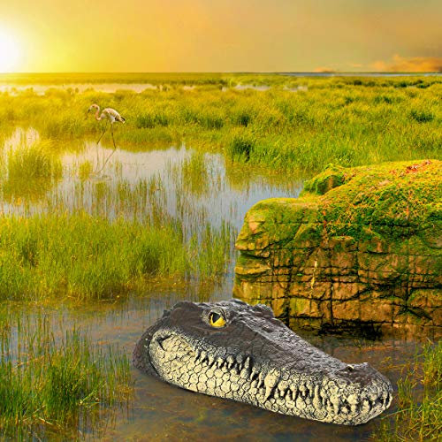 Ruiqas 1PC Schwimm Krokodil Decoy Kopf Garten Teich Pool Decor Heron Ente Control