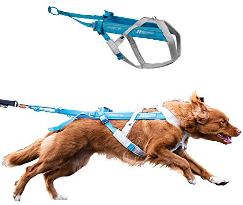 Non-stop dogwear FREEMOTION Harness 5.0 |111| Blue/Grey | Hunde-Geschirr für alle Sportarten, Größe:5