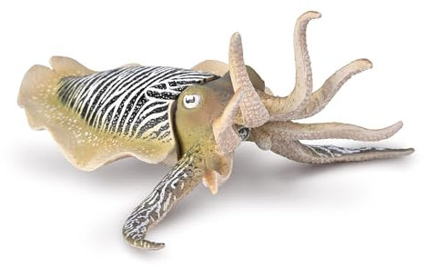 CollectA Gemeiner Tintenfisch – Realistische handgefertigte Meereslebewesen, Ozean-Spielzeug und Figuren, Tiermodelle, Tier-Geschenke für Kleinkinder und Kinder, ab 3 Jahren