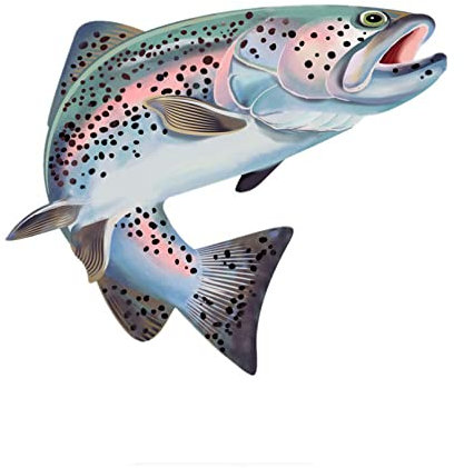 Auto Aufkleber Bunte Forelle Fisch Auto Aufkleber Kratzfest Auto Aufkleber wasserdichte Auto Dekoration
