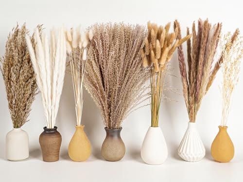 Set de 128 Pampa, Décoration Style bohème, Bouquet Fleurs séchées, Herbe de la Pampa, Parfait pour DIY Vase, Table à Manger, Chambre, Salon, Salle de Bain et Art Mural