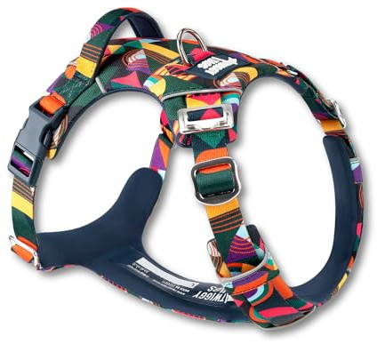 Twiggy Tags Adventure 2.0 Harness | Adjustable, Reflective, Durable Dog Harness | Dual lead attachment & Strong Handle | Stain & Water Repellent, Padded | All Dog Breeds | Aurora Multi-Coloured Size 6