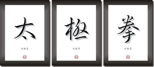 TAI CHI CHUAN Wandbilder Kalligraphie Bilderset Asiatische Schriftzeichen