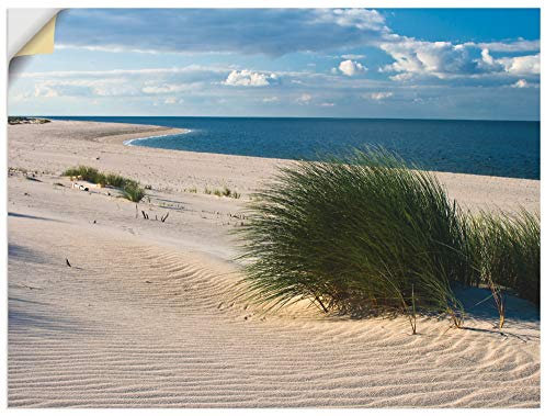 ARTland Wanddeko Wandtattoo selbstklebende Vinylfolie 60x45 cm Strand Meer Düne Küste Gräser Nordsee Maritim T5TV