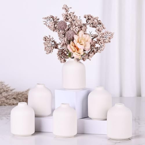6er-Pack kleine weiße Vasen, Moderne Boho-Vasen für Trockenblumen, kleine weiße Vasen zur Dekoration, weiße Massenvasen für Tafelaufsätze, Hochzeit, Zuhause, Tisch, Party-Dekoration