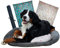 BISCHI® Hundebett, abnehmbare Matte Auto, waschbar bei 60 Grad, Hundebetten Outdoor, Hundekissen mittelgroße Hunde, Hundematratze große Hunde, Hundekorb, Flauschige Hundematte