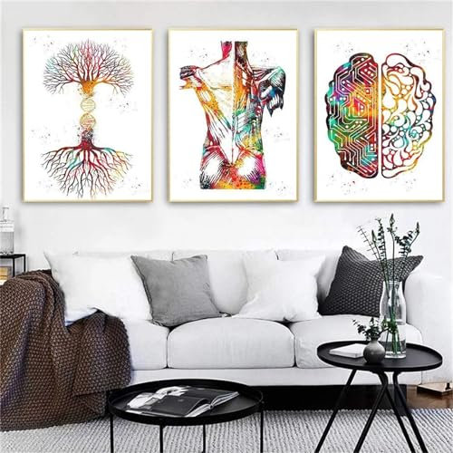 LXTOPN Menschliche Anatomie Bilder Poster,Herz Gehirn Kunstdrucke,Organ Anatomie Medizin Wand Bilder,Aquarell GemäLde Leinwandbild,Medical Office Dekor Ungerahmt. (Q1, 3 * 20x30cm)