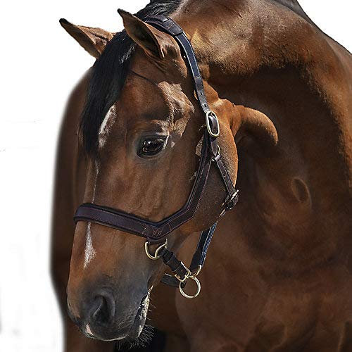 RAMBO Halfter für Pferde Horseware Micklem