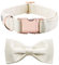 Lionet Paws Hundehalsband mit Fliege - komfortable Seide weiß Hochzeit Hundehalsband mit abnehmbaren Fliege für kleine Hunde, Hals 25-40cm