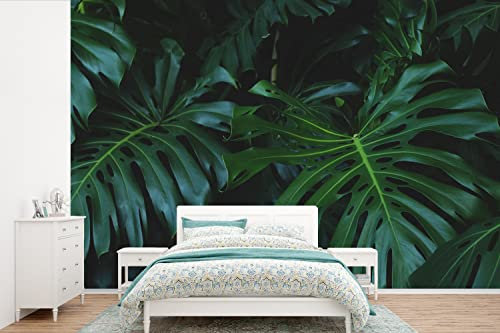 Selbstklebend Tapete Wandpapier Wandaufkleber Fototapete Tapeten Wanddeko 600x400 cm Monstera - Blätter - Tropisch - Dschungel