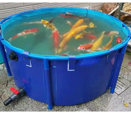 Rygcrud Piscine Hors Sol Bassin À Poissons Rond en Toile, Toile PVC Souple avec Cadre pour Piscine De Baptême, Réservoir De Rétention, Grande Capacité Abri De Sauvetage Aquatique(2x1 m)