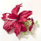 Pince à cheveux bohème pour femme, fleurs tropicales, accessoires de cheveux de mariée, barrettes antidérapantes pour mariage, plage, fête, usage quotidien (rouge)