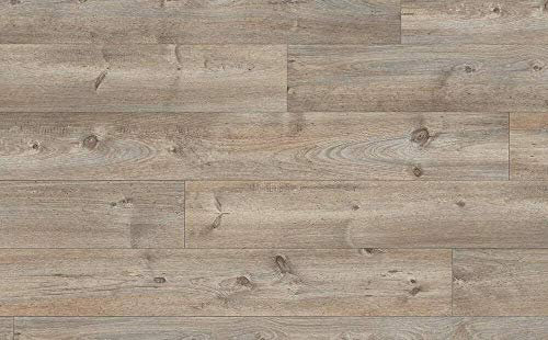 Egger Grey Grandola Pine 10mm Extra Long Mammut Plus Laminate Flooring 2050mm x 245mm (EHL113) - Box (2.51sqm)
