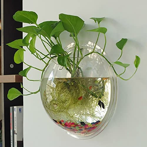 Runde Vase aus transparentem Acryl, zur Wandmontage, Aquarium-Dekoration, hängender Blumentopf, transparent, 15 cm