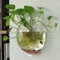 Runde Vase aus transparentem Acryl, zur Wandmontage, Aquarium-Dekoration, hängender Blumentopf, transparent, 15 cm