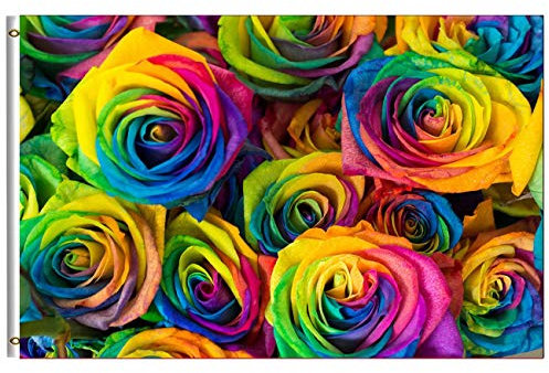 Garten Flaggen Tag 4X6 Ft Regenbogenfarbe Aus Rosenblüten Mit Hochzeiten Dekorative Fahnen Durable Feiertage Flags Verblassen ​Beständig Yard-Flaggen Für Feiertage Garten Drinnen 30x45 cm