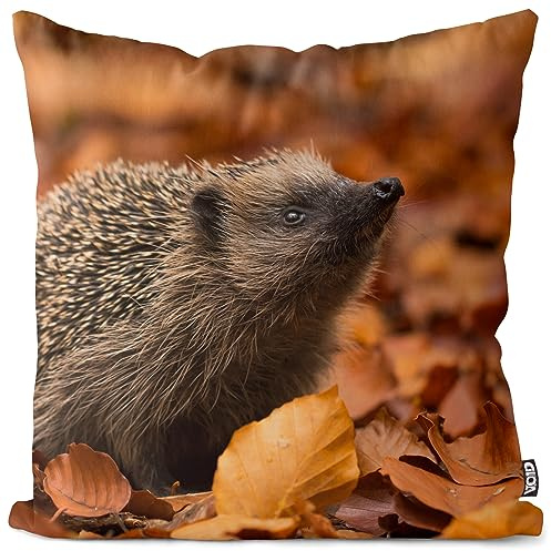VOID Igel Herbst Laub Blätter Kissenbezug Kissenhülle Polyester Dekoration Ostern Deko-Kissen Outdoor Garten, Kissen Größe:50 x 50 cm