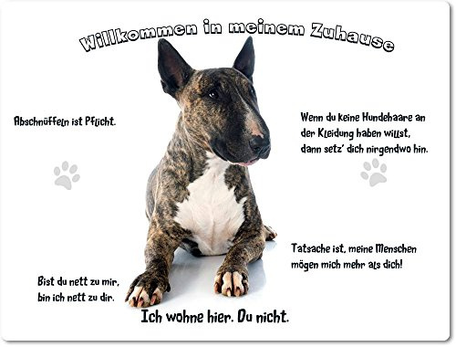 Merchandise for Fans Blechschild/Warnschild/Türschild - Aluminium - 20x30cm - - Willkommen in Meinem Zuhause - Motiv: Bullterrier Porträt - 04