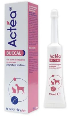 Anidev Actéa Buccal - Gel Apaisant Gencives Chien Chat 15 ml
