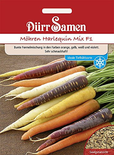 Möhren Halequin Mix, Bunte Karotten ca. 500 Korn