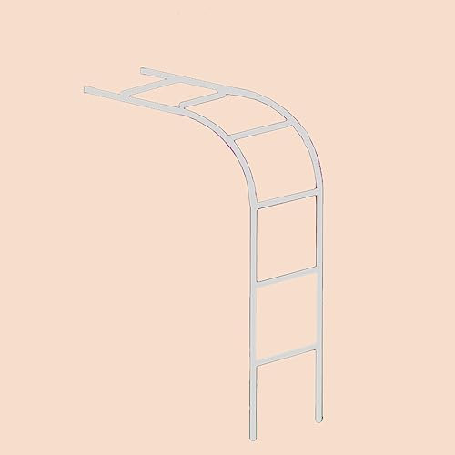 Gartenbogen aus Metall, gegen die Wand Rosenbogen, halbe Seite Edelstahl torbogen, Terrassen Kletterreben unterstützen Pergola, Außenterrassengitter garten torbogen dekorative ( Color : Side tube 19mm