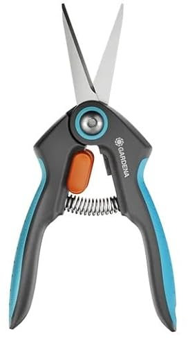 Neu 2023 - Display FreshCut Länge