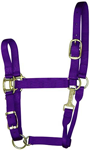 Hamilton 2,5 cm Nylon-Halfter mit Kinnschnalle, verstellbar, für Pferde von 800 bis 599 kg, Violett
