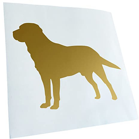 Kiwistar - Autoaufkleber - Gold - 13x10cm Labrador Hund Retriever - Heckscheibe Auto Aufkleber wetterfest für Kfz LKW Mofa Truck - Sticker außen selbstklebend Tuning Zubehör für Fenster Fahrzeug
