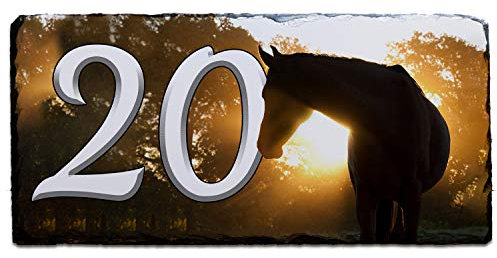 Horse House Number Slate Name Gate Sign Plaque Door Personalised SL38