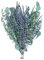 FOUNCY Fresh Eucalyptus Bundle, Eucalyptus Bouquet, Natural Air Purifier Eucalyptus Bouquet, Heartwarming Gift Eucalyptus Bouquet, Eucalyptus Arrangement for Fragrance, Home Bathroom Va