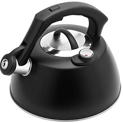 CAFIEDR Edelstahl-Flötenkessel, Temperaturanzeige, Wasserkocher, Tee-/Kaffeekanne, Küche, Gasherd, Induktionsherd, Wasserkocher, 2,5 l