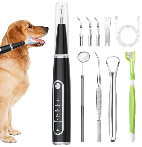 Zahnsteinentferner Hund, Ultraschall Zahnsteinentferner für Hunde und Katze,5 Modi Einstellbare Wiederaufladbare Zahnreinigungsset,IPX6 Zahnreinigung Set mit Austauschbare Reinigungsköpfe (Schwarz)