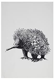 MAXWELL & WILLIAMS Geschirrtuch Echidna 100% indische Baumwolle weiß 50x70 cm