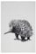 MAXWELL & WILLIAMS Geschirrtuch Echidna 100% indische Baumwolle weiß 50x70 cm