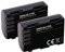 Lot de 2 batteries pour Panasonic Lumix GH5 GH4 et G9 compatibles avec Panasonic DMW-BLF19 / DMW-BLF19E (2000 mAh) capteur NTC actif et matériau ignifuge V1