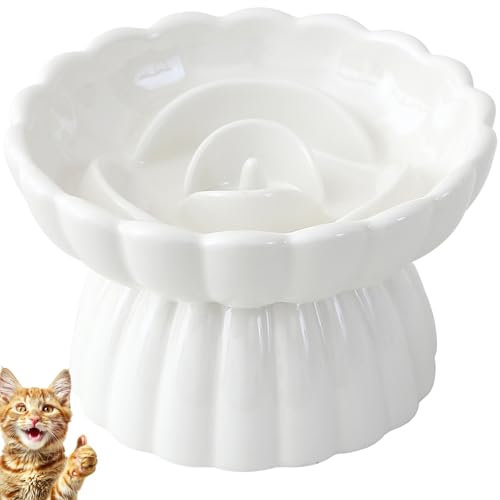 JuWow Ceramic Elevated Slow Feeder Cat and Small Dog Bowl,Anti Vomiting,Easy to Clean,Spill-Proof & Anti-Tipping Raised Pet Bowl for Food (White)