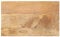vidaXL Tischplatte, Holzplatte für Esstisch Couchtisch, Massivholzplatte Rustikales Design, Ersatztischplatte, 40x20x3,8cm Rechteckig Massivholz Mango
